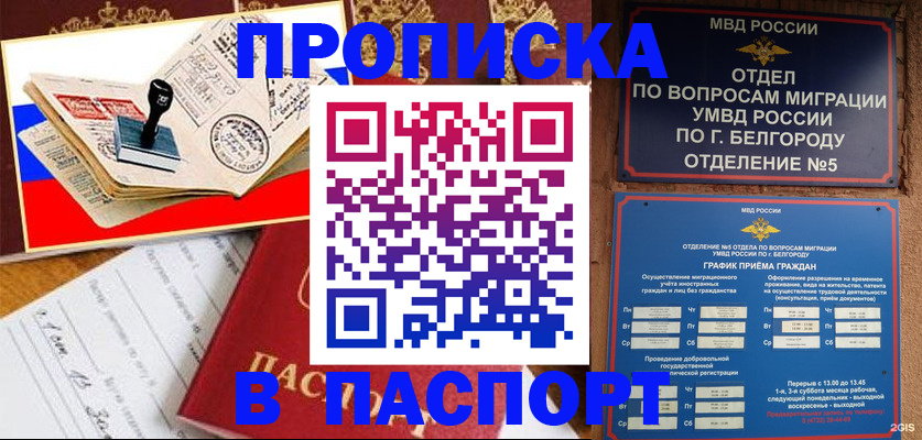купить прописку в Яхроме